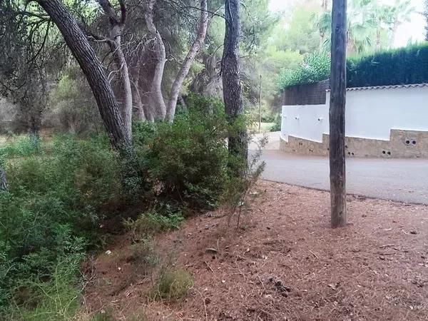 Terreno en Pinar de Advocat-Cometa