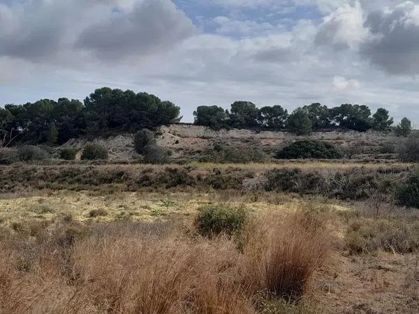 Terreno en Diseminado Poligono 9, 1