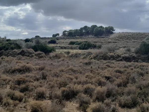 Terreno en Diseminado Poligono 9, 1