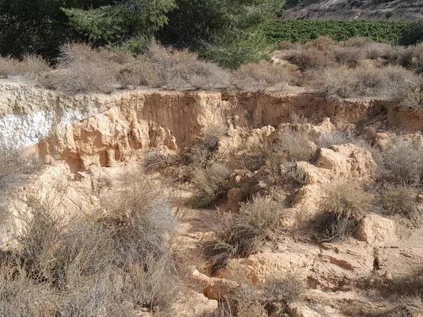 Terreno en Diseminado Poligono 9, 1