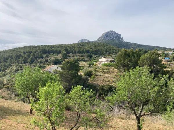 Terreno en Partida Casamia, 15