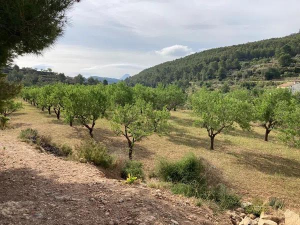 Terreno en Partida Casamia, 15