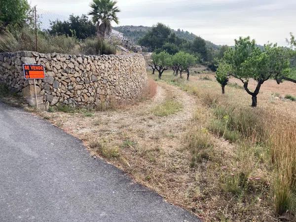 Terreno en Partida Casamia, 15