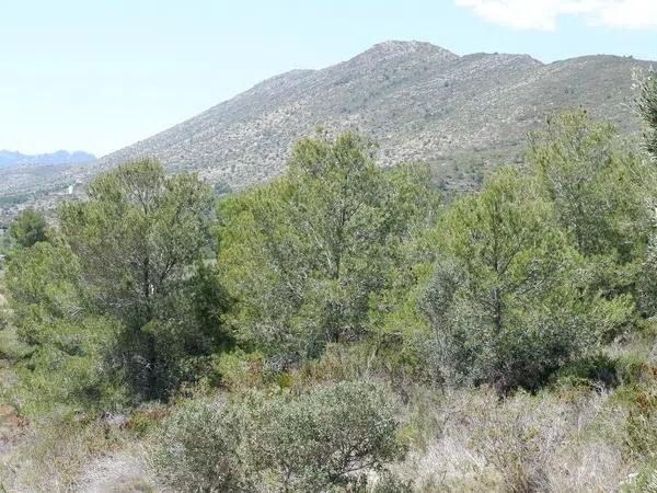 Terreno en Benissa pueblo