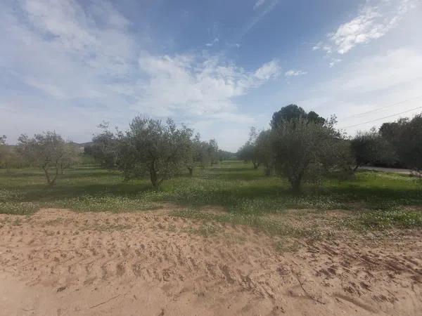 Terreno en Cabanes y Las Fuentes