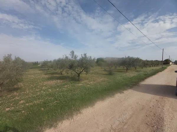 Terreno en Cabanes y Las Fuentes