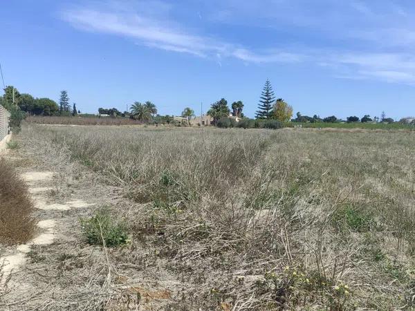 Terreno en camino viejo de santa pola s/n