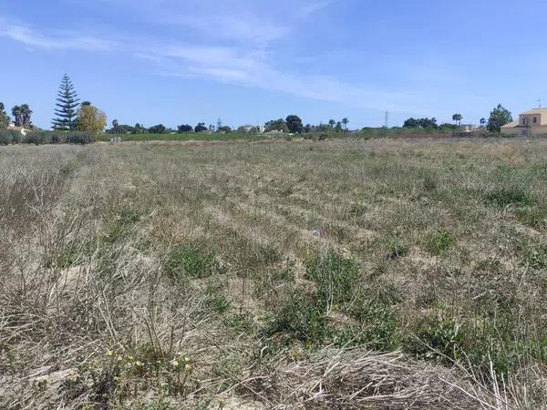 Terreno en camino viejo de santa pola s/n