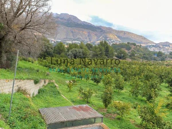 Terreno en Partida la Pila