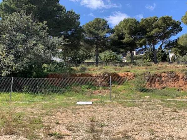 Terreno en Cala Advocat - Baladrar