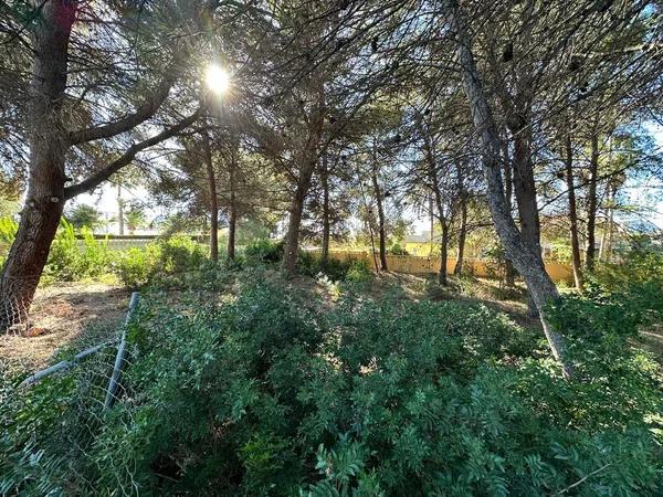 Terreno en Cometa-Carrió