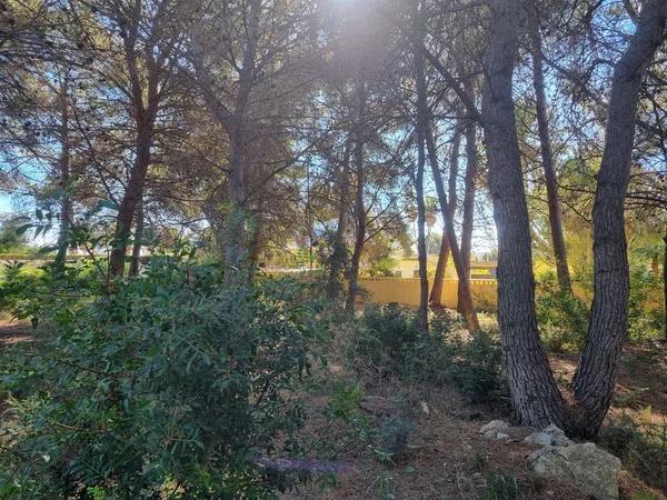 Terreno en Cometa-Carrió