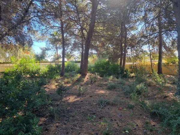 Terreno en Cometa-Carrió