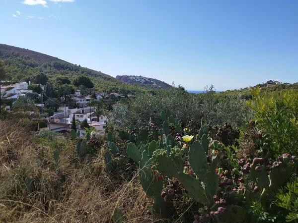 Terreno en Verde Pino, Albi,, 25