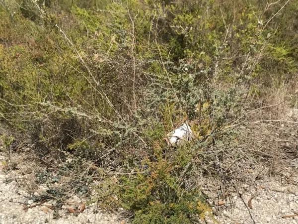 Terreno en La Hoya-Daimes-El Derramador