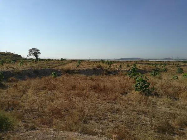 Terreno en Partida Baiona Alta, 10