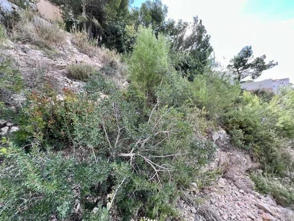 Terreno en Altea Hills