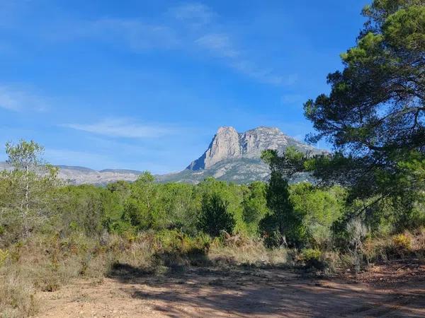 Terreno en Partida la Robella