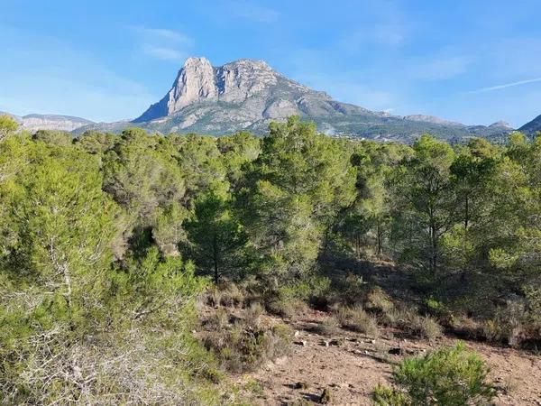 Terreno en Partida la Robella