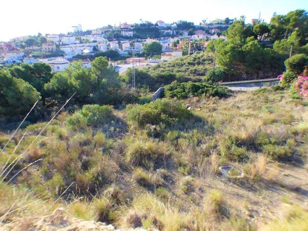 Terreno en calle bolulla, 23