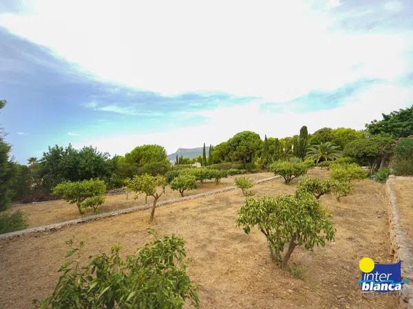 Terreno en alto Urbanización Carrió