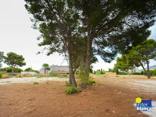 Terreno en alto Urbanización Carrió