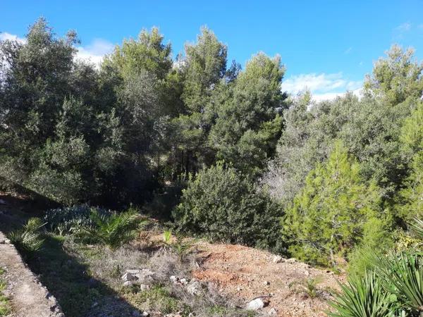 Terreno en El Montgó