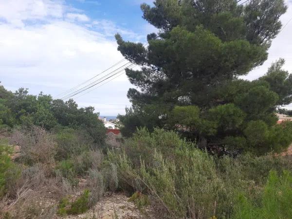 Terreno en El Montgó