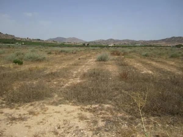 Terreno en Pedanías Oeste