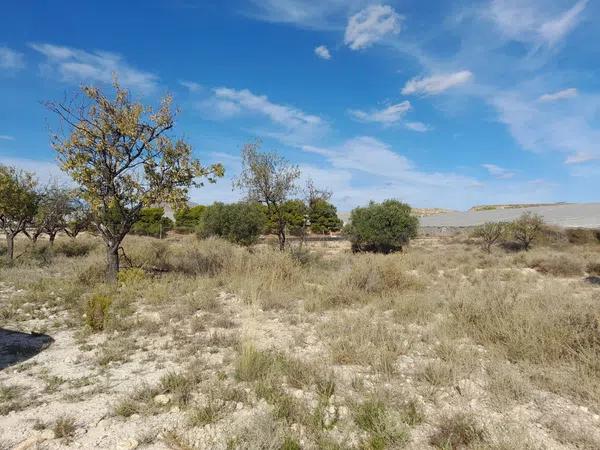 Terreno en partida campellet