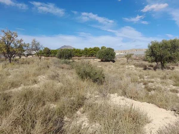 Terreno en partida campellet