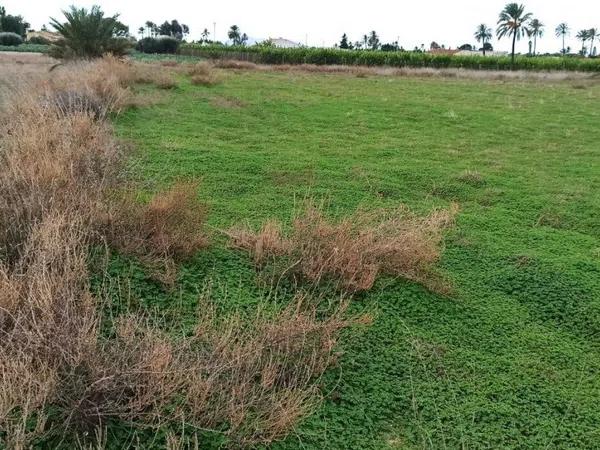 Terreno en Maitino-Perleta