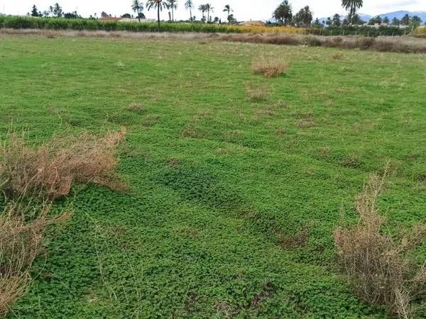 Terreno en Maitino-Perleta