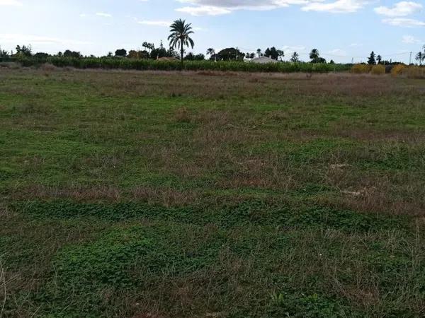 Terreno en Maitino-Perleta