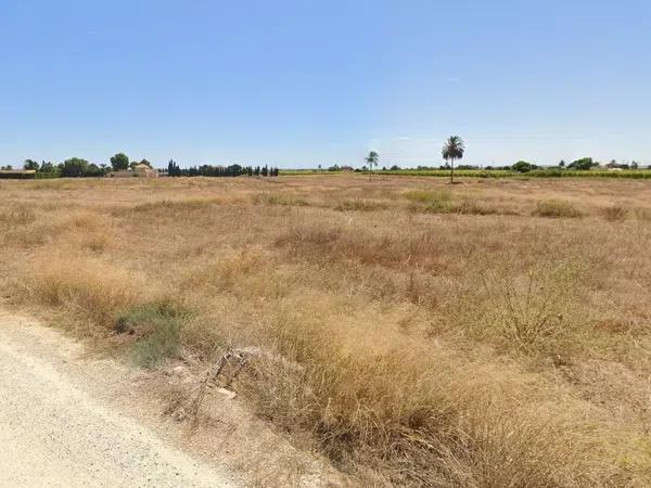 Terreno en carretera Elx - Santa Pola