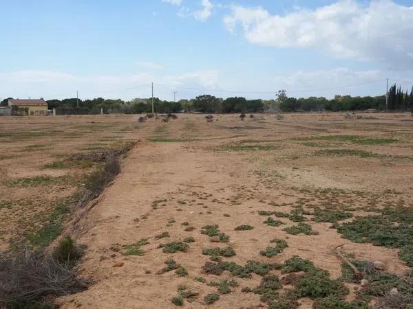 Terreno en avenida de l'Altet, 3 TorrelanoAltopoln