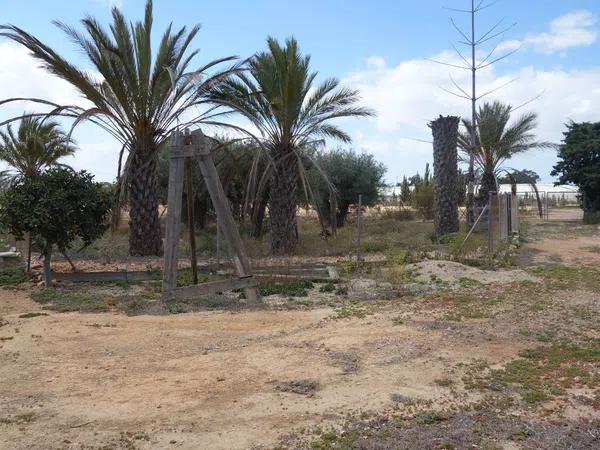 Terreno en avenida de l'Altet, 3 TorrelanoAltopoln