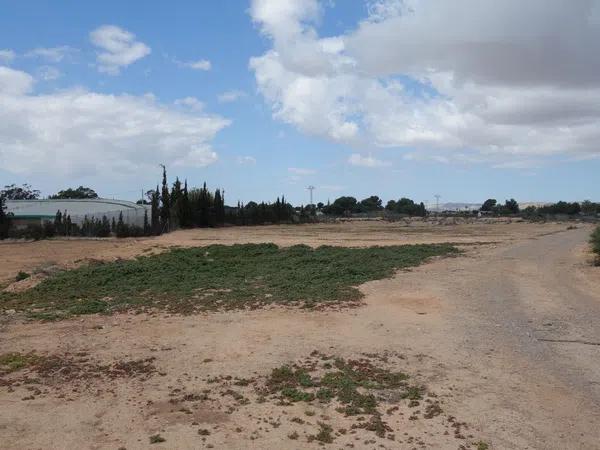 Terreno en avenida de l'Altet, 3 TorrelanoAltopoln