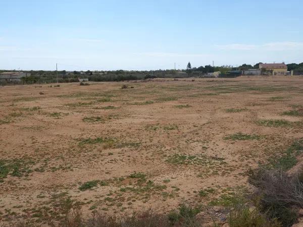 Terreno en avenida de l'Altet, 3 TorrelanoAltopoln