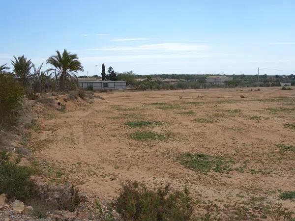 Terreno en avenida de l'Altet, 3 TorrelanoAltopoln