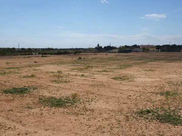 Terreno en avenida de l'Altet, 3 TorrelanoAltopoln