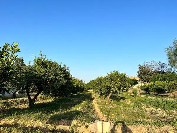 Terreno en Montepinar-La Aparecida-Raiguero