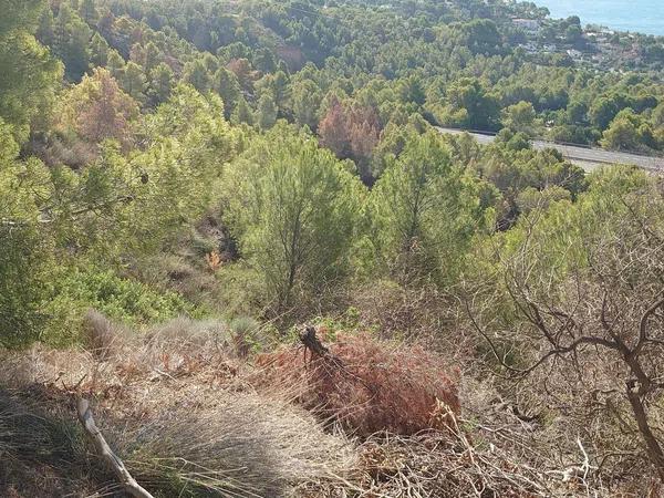 Terreno en calle las Ramblas, 2