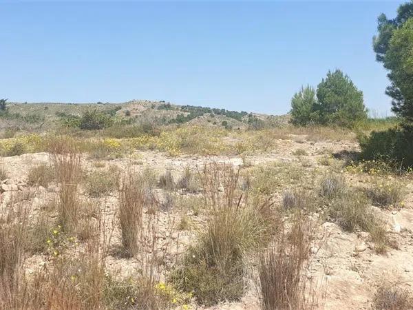 Terreno en La Galia-Bonavista