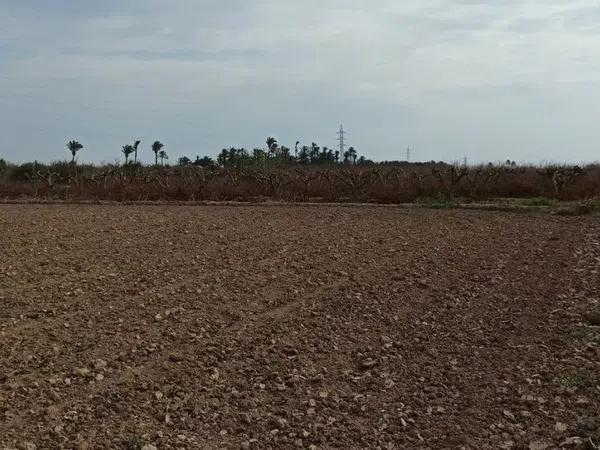 Terreno en Maitino-Perleta