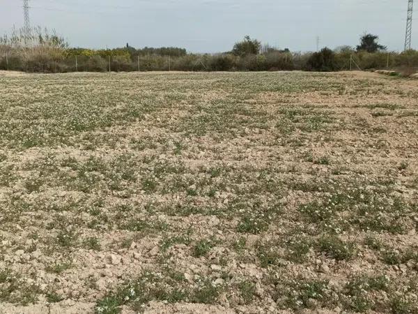 Terreno en Maitino-Perleta