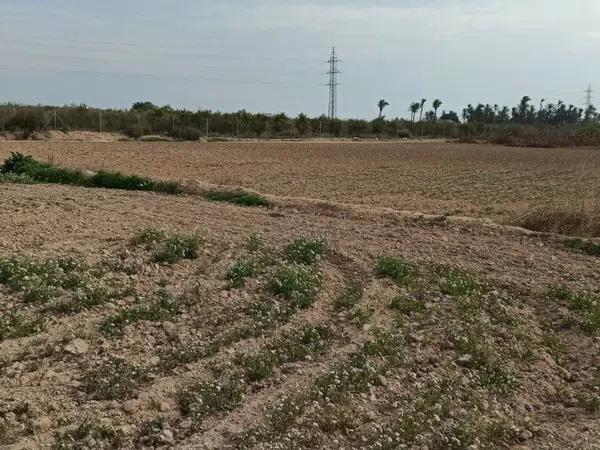 Terreno en Maitino-Perleta