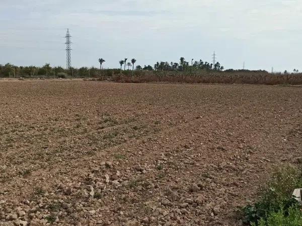 Terreno en Maitino-Perleta