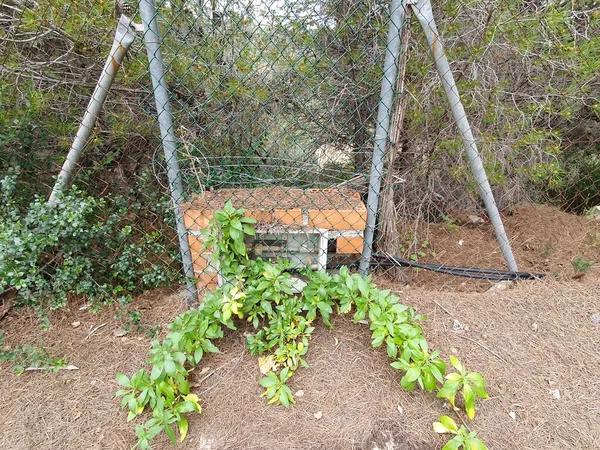 Terreno en calle Ametla s/n