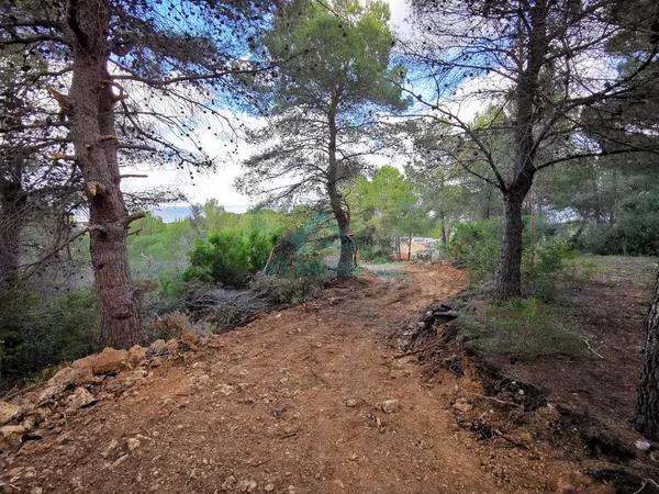 Terreno en Les Rotes/Las Rotas